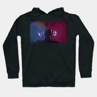 Blue and Pink Hoodie